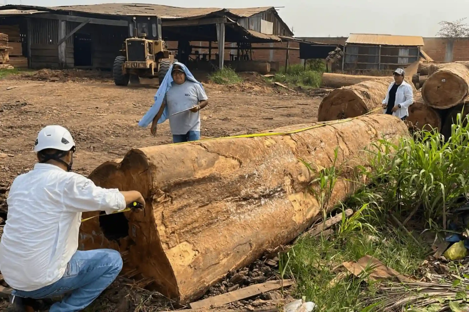 ¿Qué son los Centros de Transformación Primaria y por qué son clave para la industria maderera?