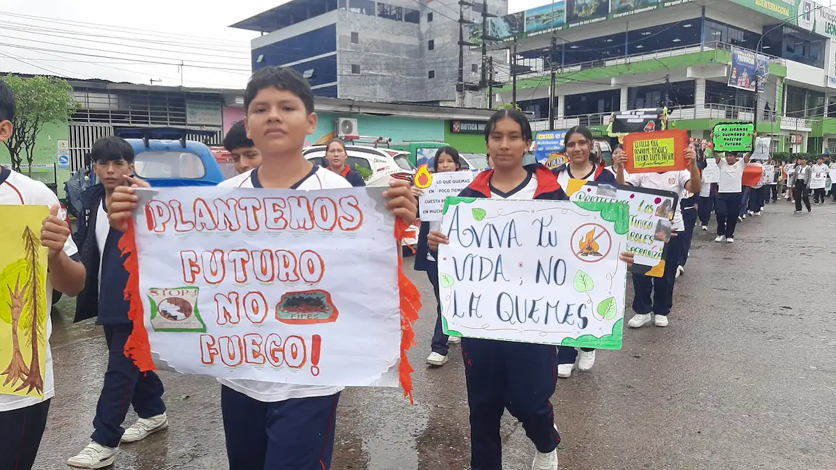 Lluvias y movilización ciudadana combaten incendios forestales en Leoncio Prado