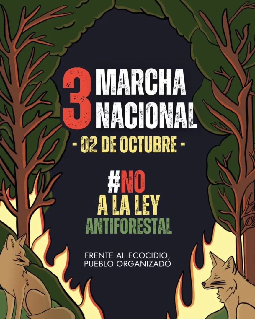 I-Nueve-regiones-se-movilizan-para-exigir-la-derogatoria-de-la-Ley-Antiforestal-I-1.webp