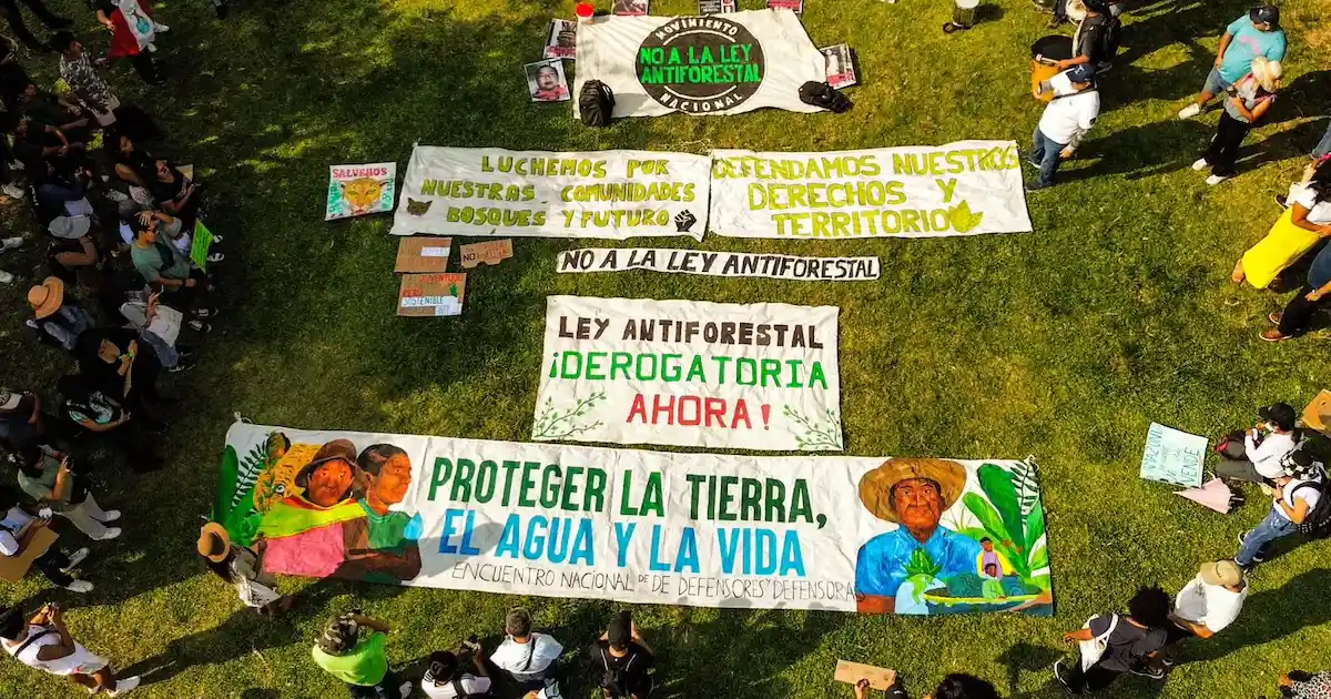 II-Nueve-regiones-se-movilizan-para-exigir-la-derogatoria-de-la-Ley-Antiforestal-I-1.webp