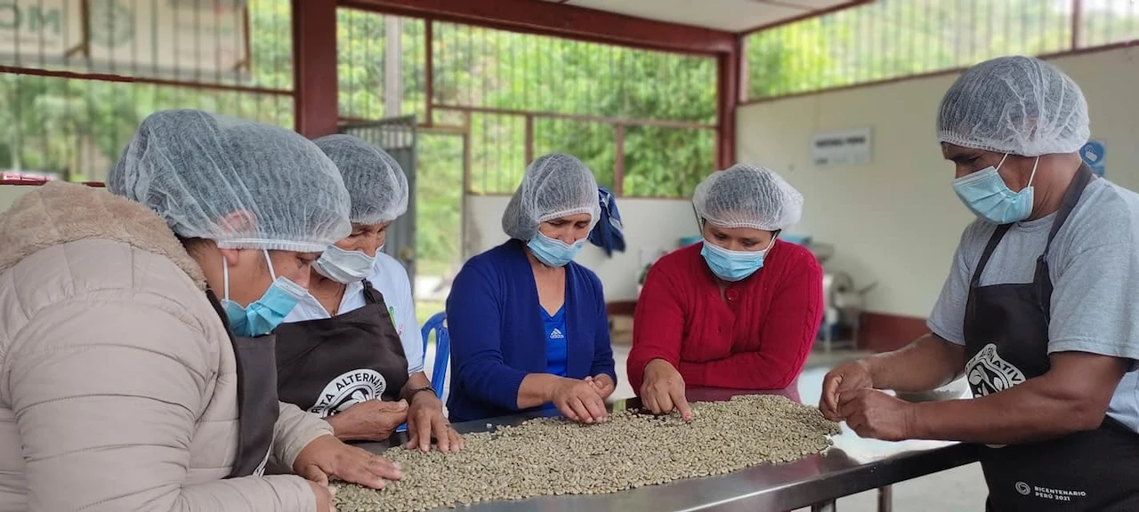 Cooperativa Cordillera Azul llevará el sabor de Ucayali a la Ficafé 2024