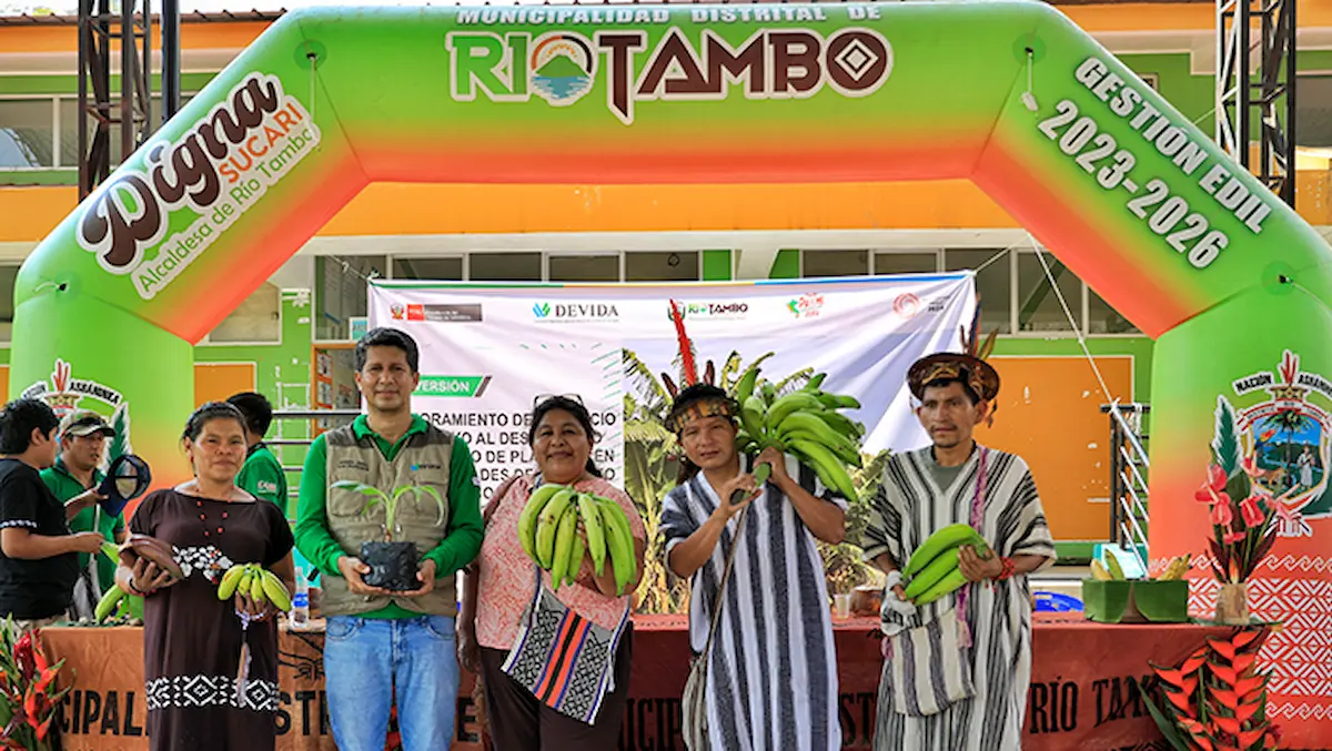 Proyecto impulsa producción de plátanos en comunidades nativas de Río Tambo