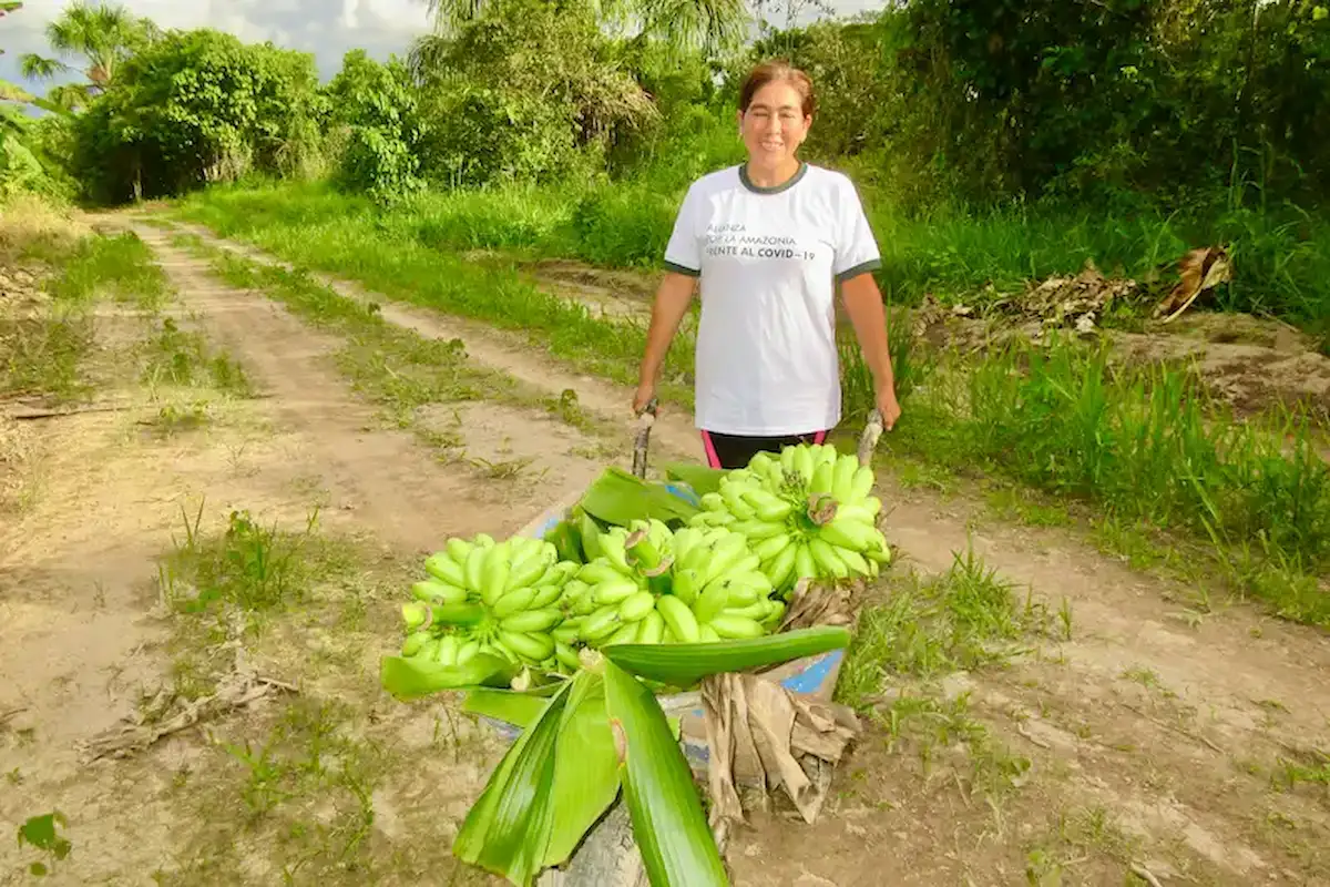 Leoncio Prado: De la coca a una economía agrícola diversificada