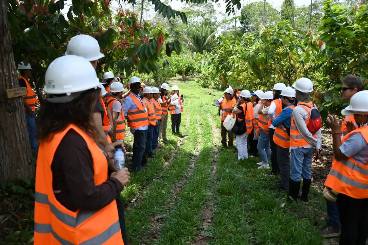 Ucayali muestra potencial de su cacao sostenible en evento internacional