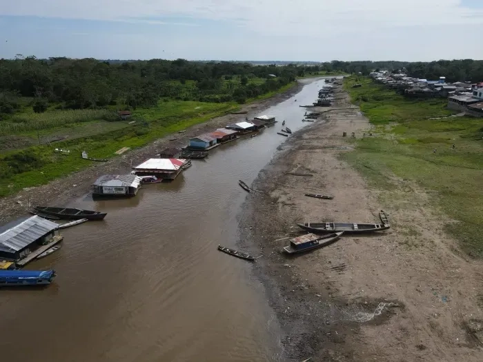 Crisis-hidrica-en-la-Amazonia-peruana--El-futuro-del-bosque-en-juego.webp