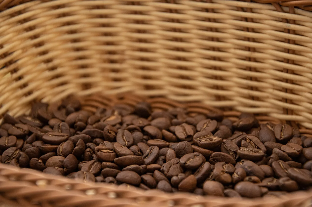 Ucayali: Caficultor de La Divisoria llevará su marca a la Ficafé