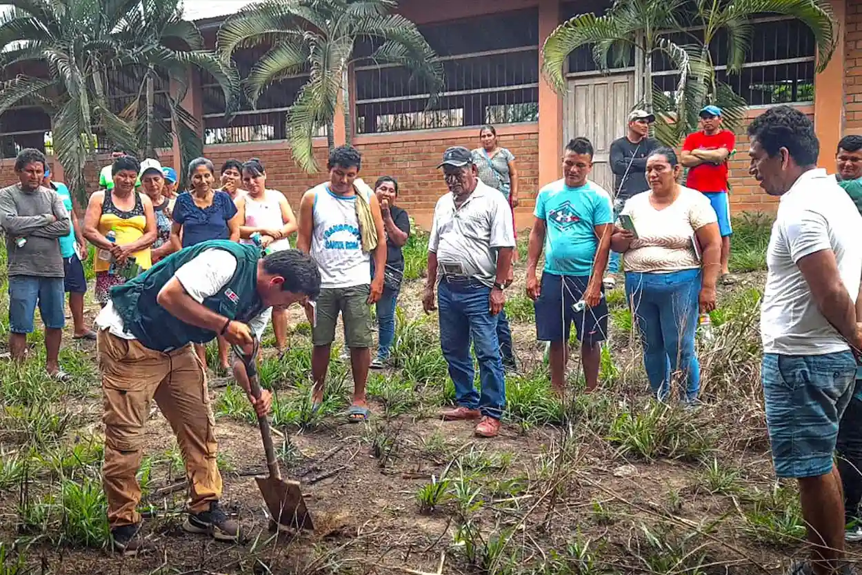 Ucayali: Capacitan a productores de plátano en control de plagas
