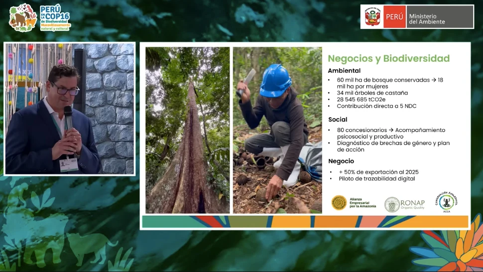 COP16--Empresas-y-biodiversidad-una-alianza-clave-para-salvar-la-Amazonia.webp