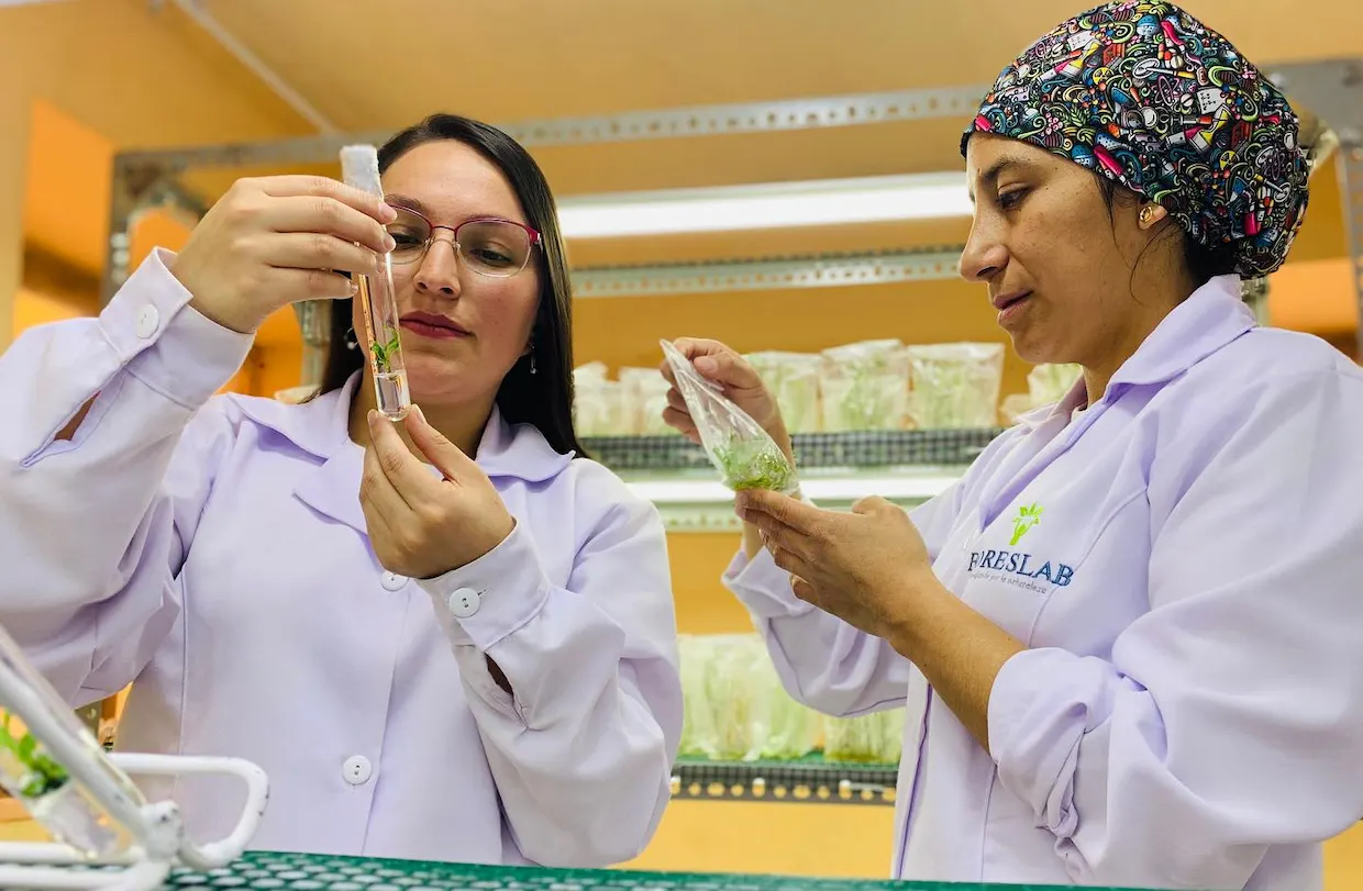 Startups latinoamericanas se unen para preservar la Amazonía