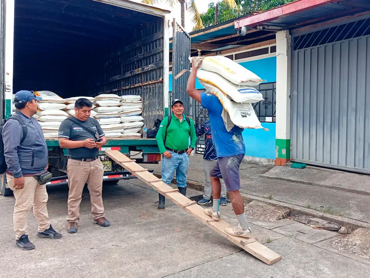 Entregan 936 toneladas de fertilizantes a familias cacaoteras de Padre Abad