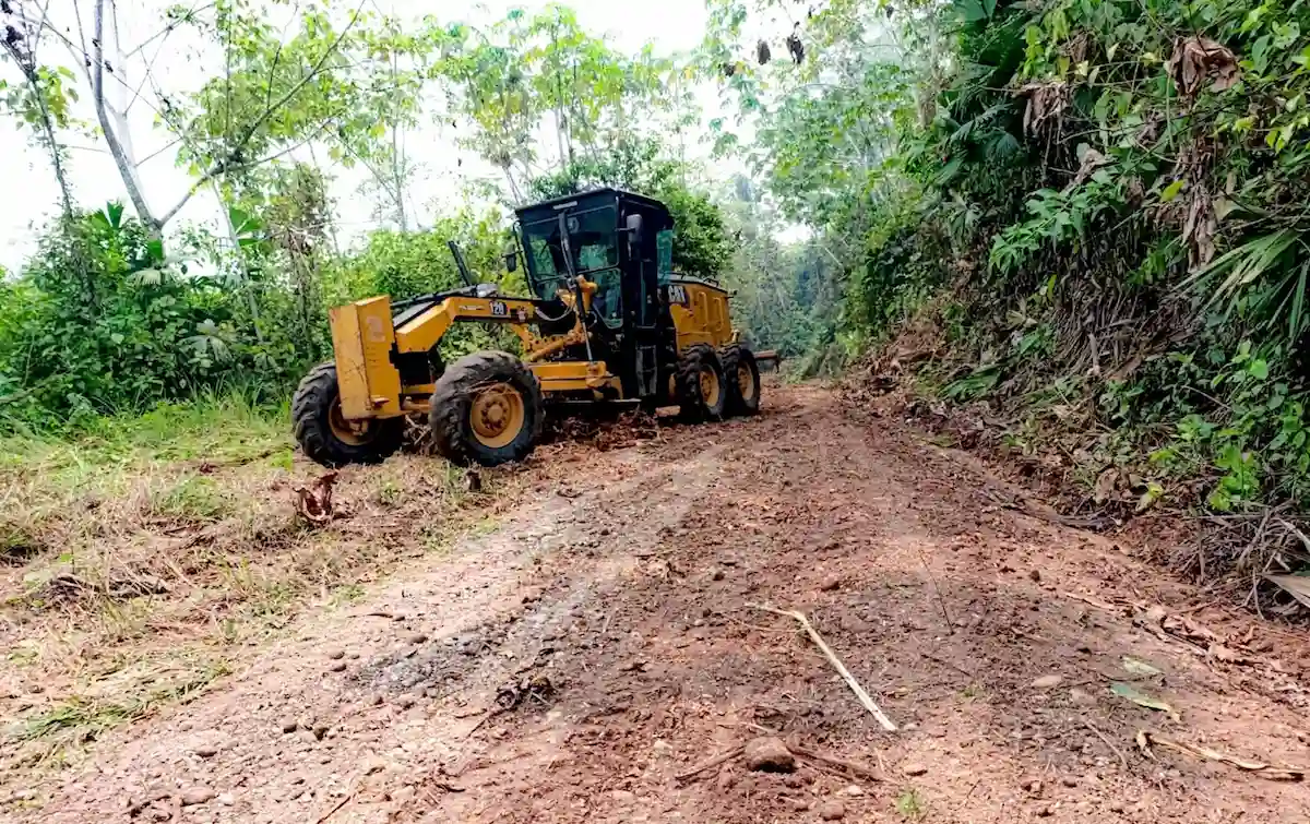 Impulsan desarrollo de agricultores con mejoramiento de carretera en Padre Abad
