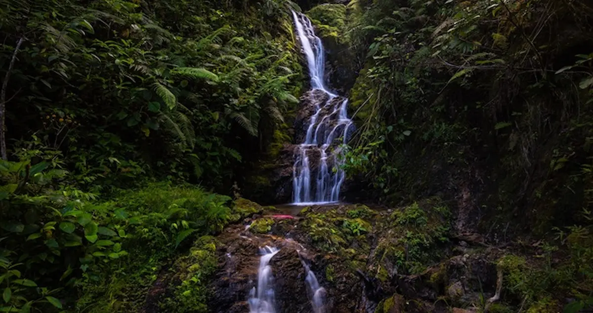 12 recomendaciones para visitar áreas protegidas durante el APEC