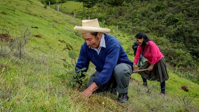 Destinan S:19 millones para la conservación de recursos naturales_1