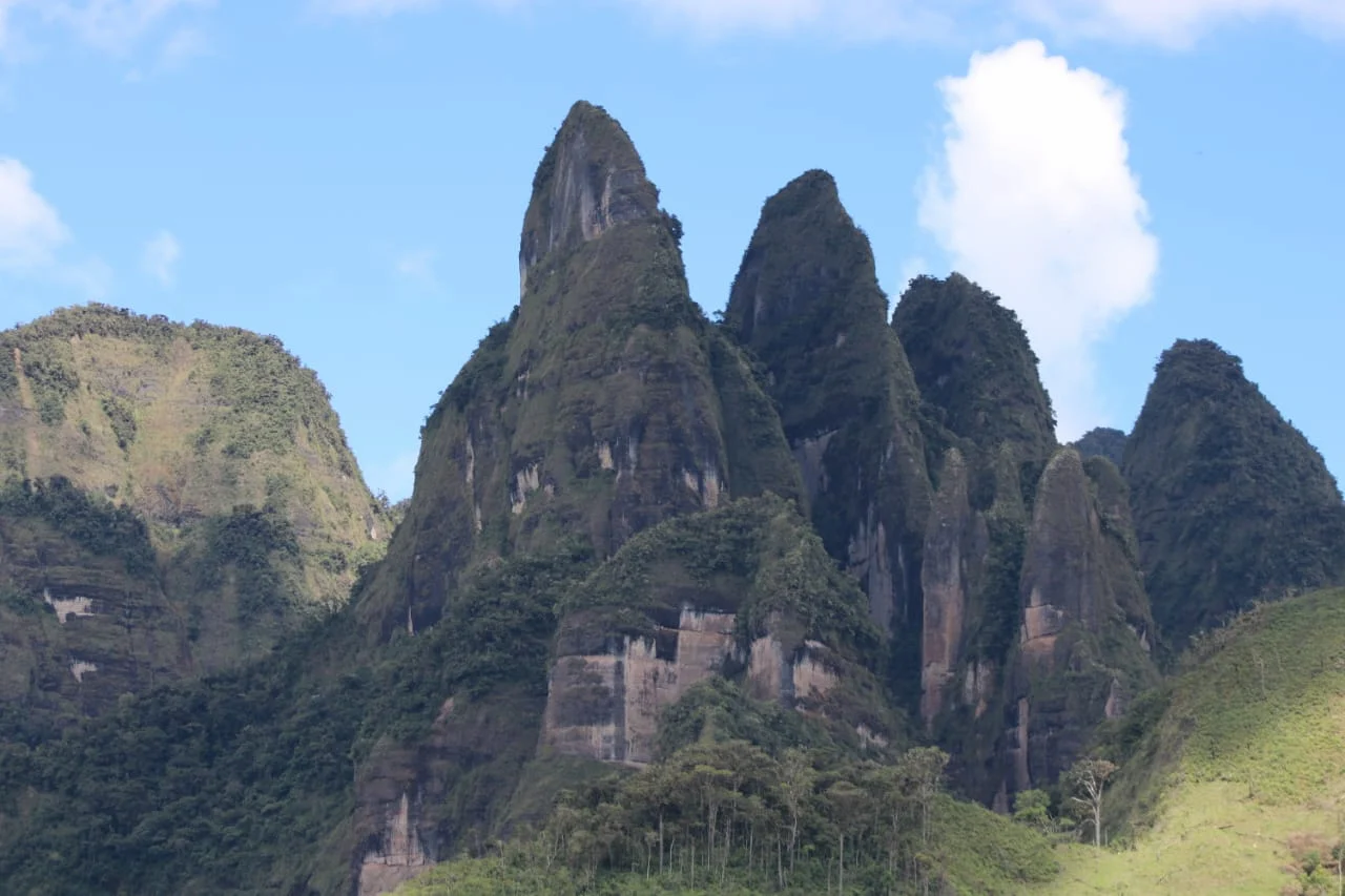 Video impulsa turismo y conservación ambiental en festival de cine