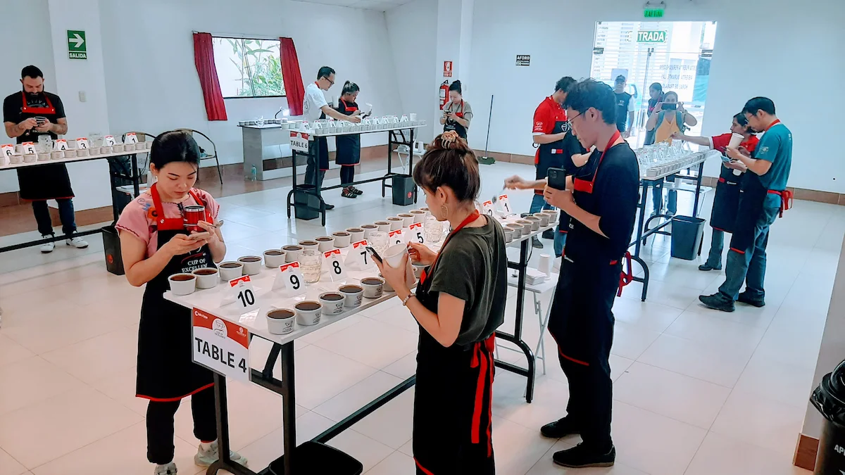 Baristas, catadores y productores compiten en la Ficafé