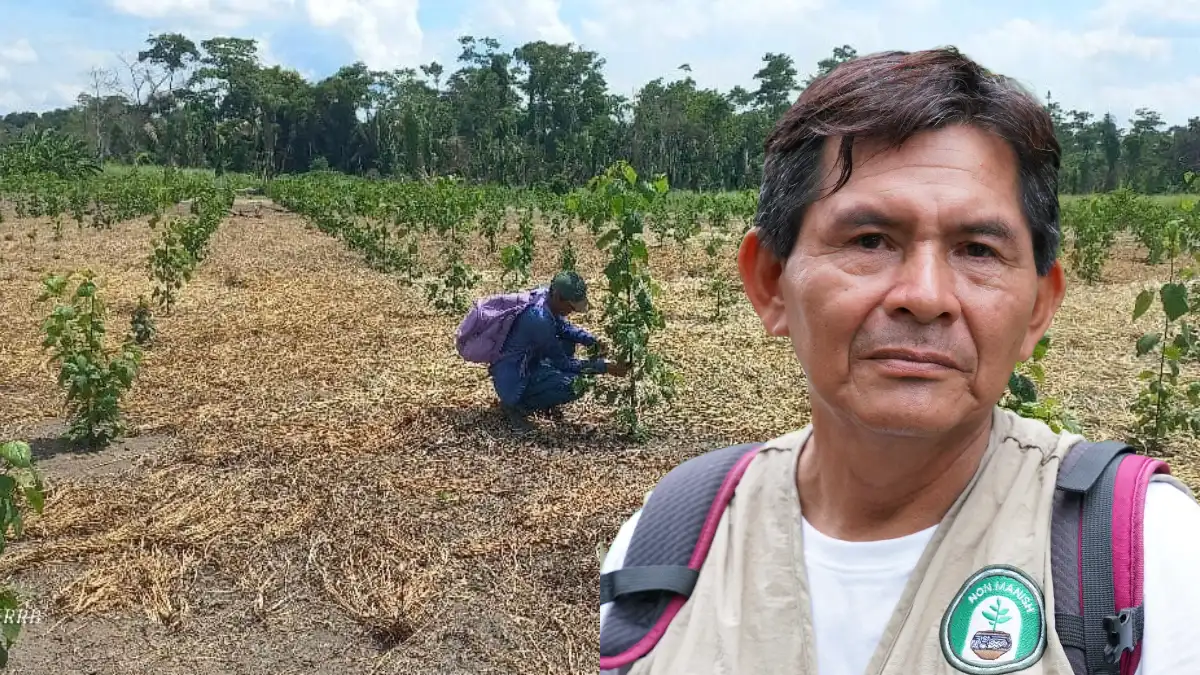 Líder shipibo impulsa reforestación en la Amazonía peruana