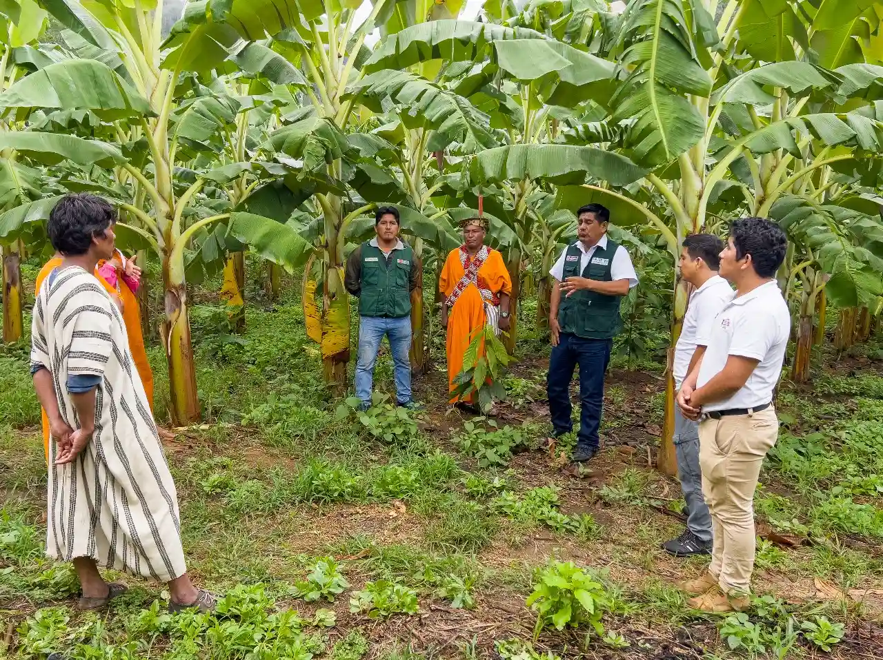 Refuerzan trabajo con comunidad nativa para impulsar desarrollo agrícola