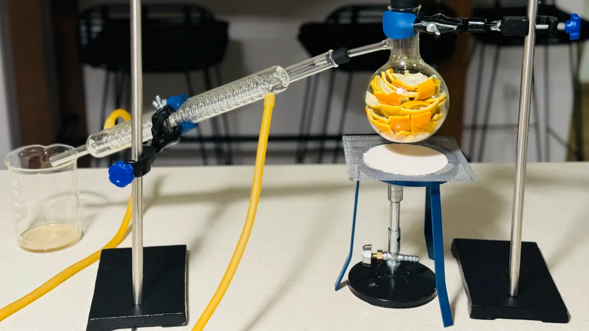 Universitarios logran disolver tecnopor con cáscaras de naranja
