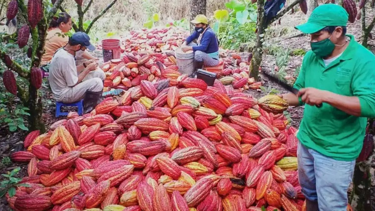 Desafíos y oportunidades en un año de precios históricos