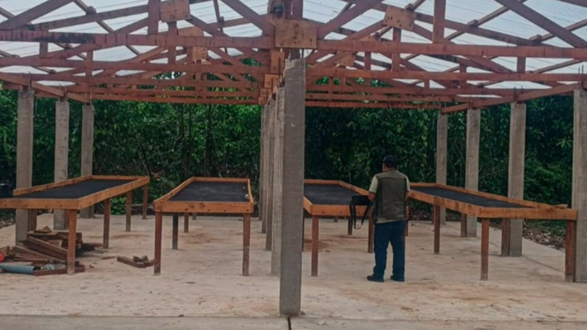 Cacaoteros de Curimaná modernizan producción con módulos de procesamiento