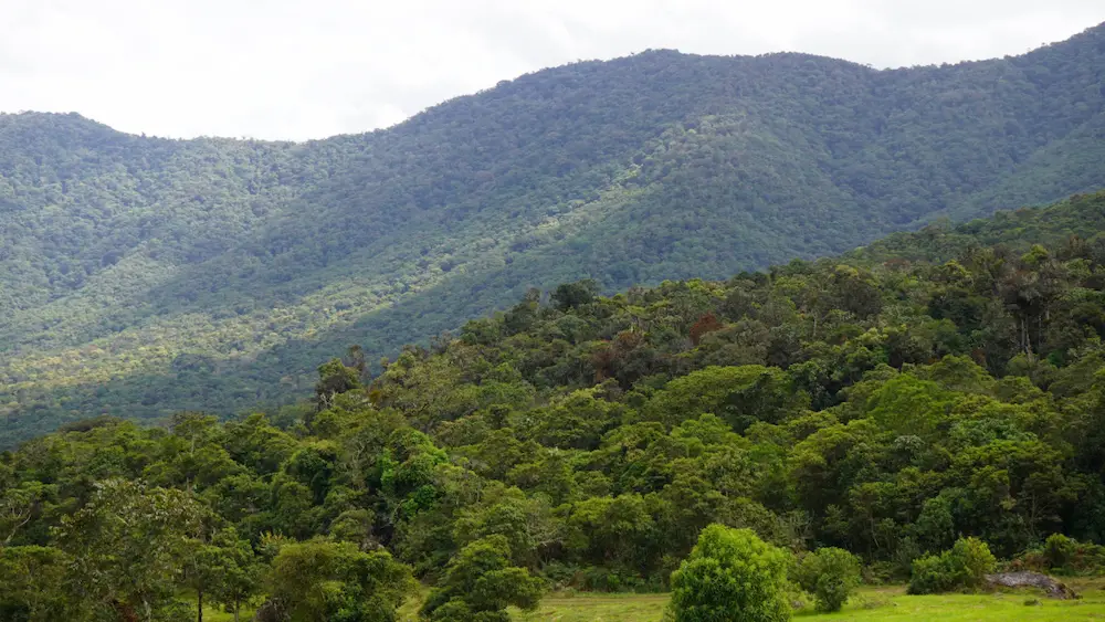 Buscan zonificar 62.9 millones de hectáreas para manejo sostenible de bosques