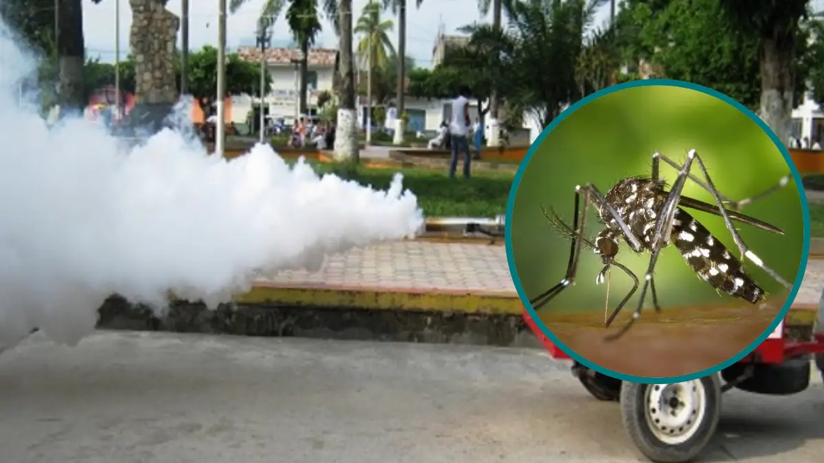 San Martín registra 424 casos de dengue y 47 hospitalizados en inicio de 2025