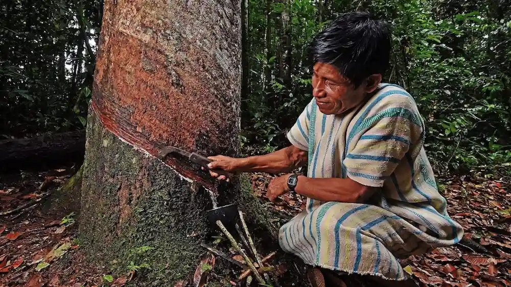 Herramienta fortalece la cogestión en las reservas comunales-