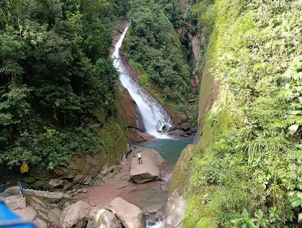 Nueva área de conservación protegerá 14 000 hectáreas de bosque_1