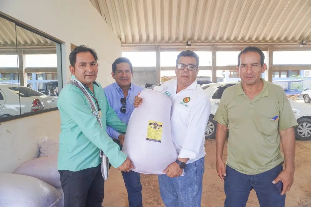 Productores apuestan por variedad café resistente a la roya y a desafíos climáticos