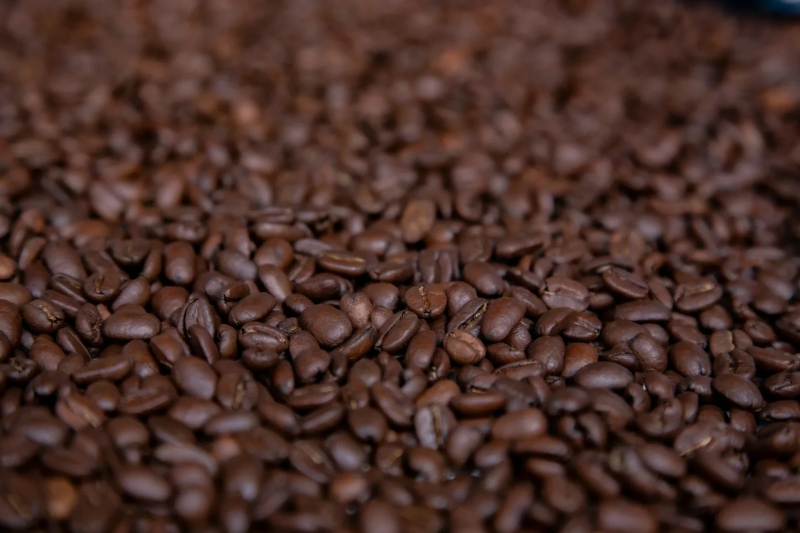 Producción de café cayó 9.65% en 2024_