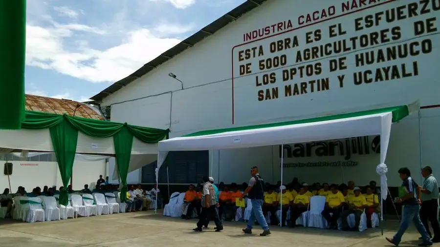 Socios luchan por el renacer de la Cooperativa Naranjillo