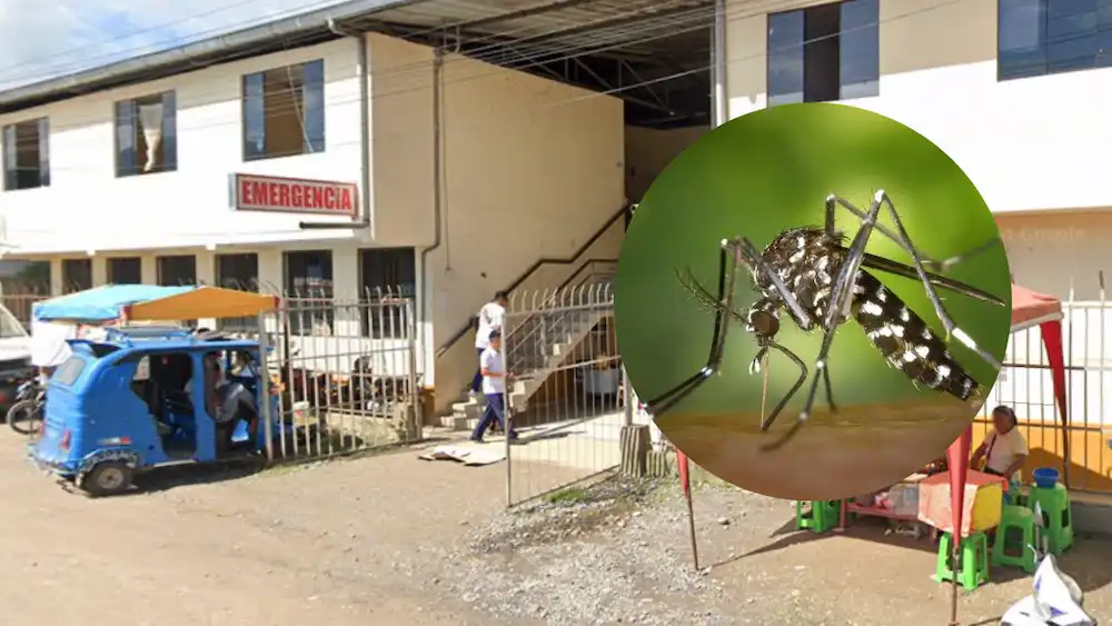 Falta de centros de salud en Tingo María amenaza lucha contra el dengue