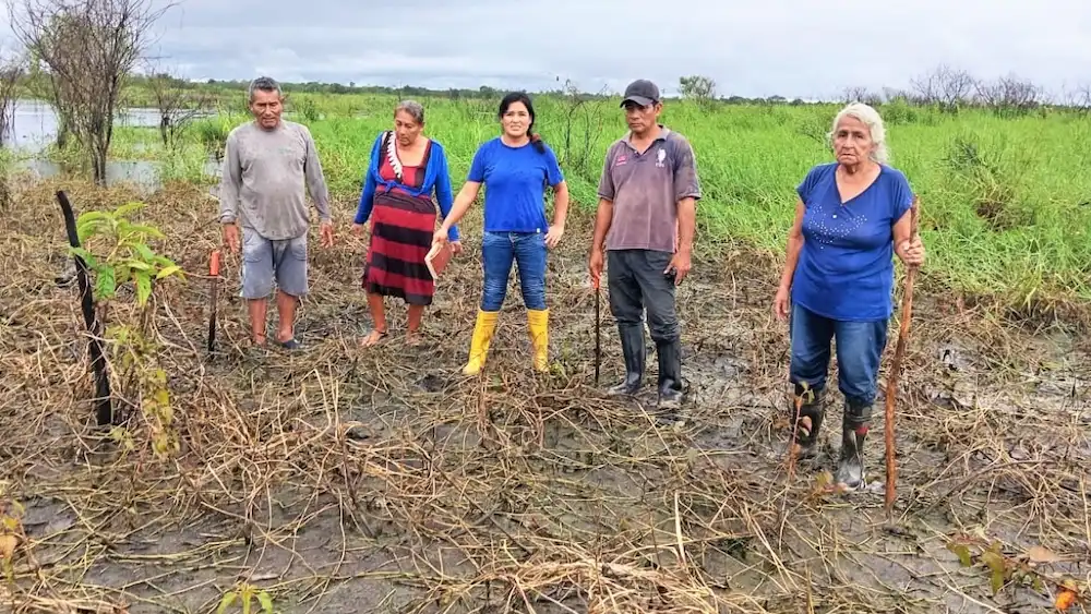 Ucayali Desborde de ríos arrasa con cultivos en Manantay y Yarinacocha