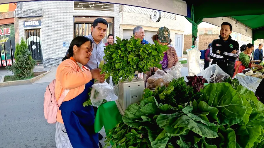 Realiza primer monitoreo a ferias agroecológicas para evaluar presencia de pesticidas en Huánuco