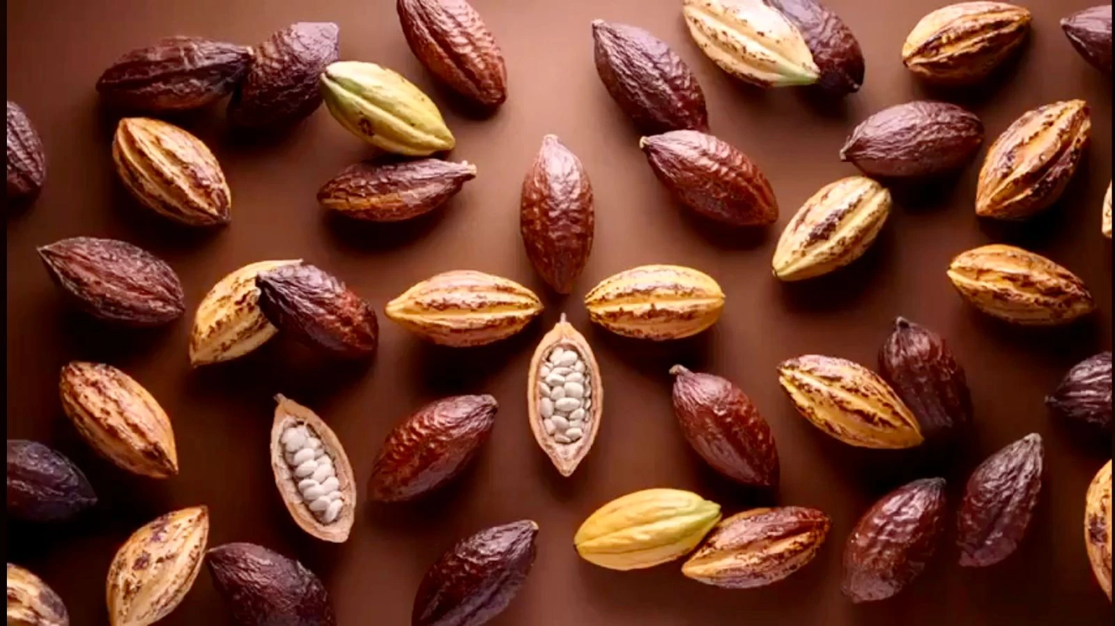 Durante siete días, del 16 al 22 de febrero, la icónica Beurs van Berlage se convertirá en el epicentro estratégico del sector para debatir sostenibilidad, innovación y resiliencia climática en la industria global del cacao. (Foto: Difusión)