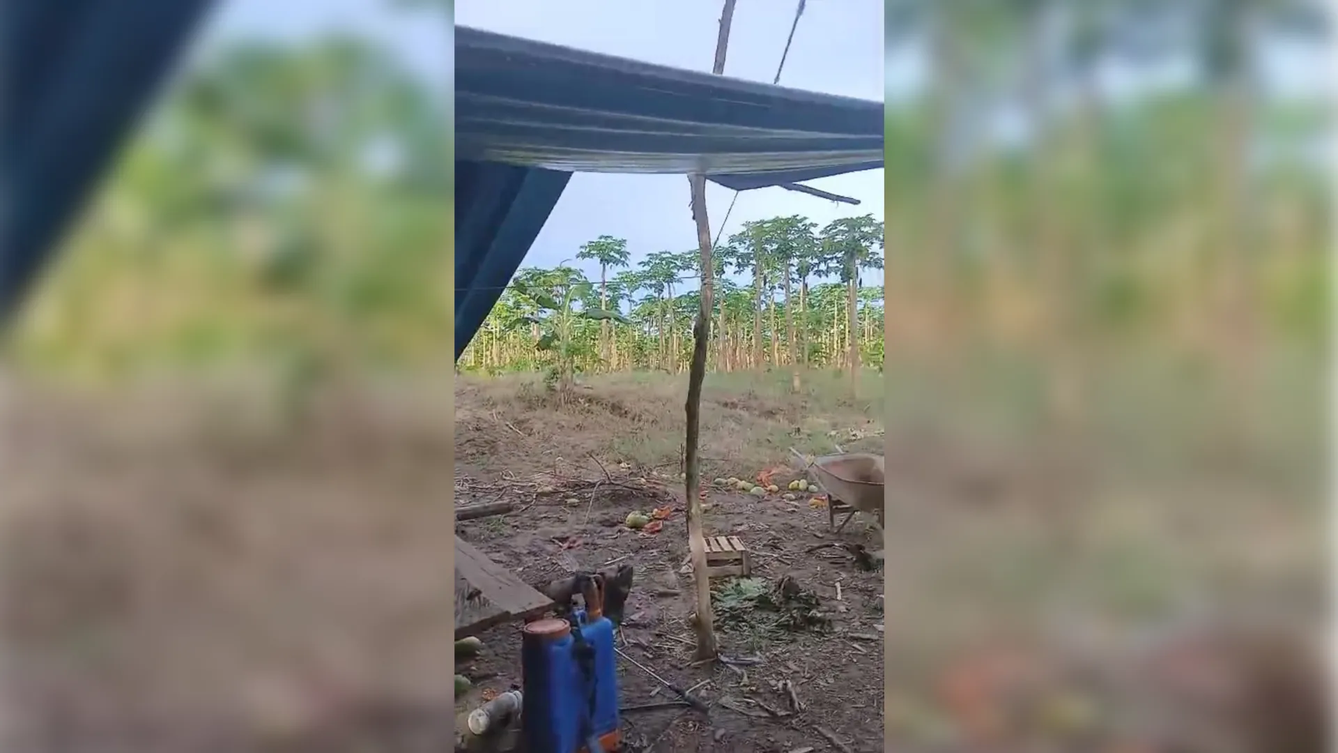 “Vienen y nos quieren sacar de nuestras tierras, nos agreden pese a que nosotros vivimos de la agricultura aquí en el sector La Ribera”, denunció el presidente comunal Francisco Córdoba Umbo. (Foto: Difusión)