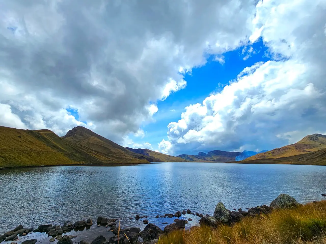 El ACR Yanajanca alberga ecosistemas de páramos y yungas que resguardan una alta diversidad de flora y fauna y cumplen una función estratégica en la regulación del recurso hídrico regional. (Foto: DIfusión)
