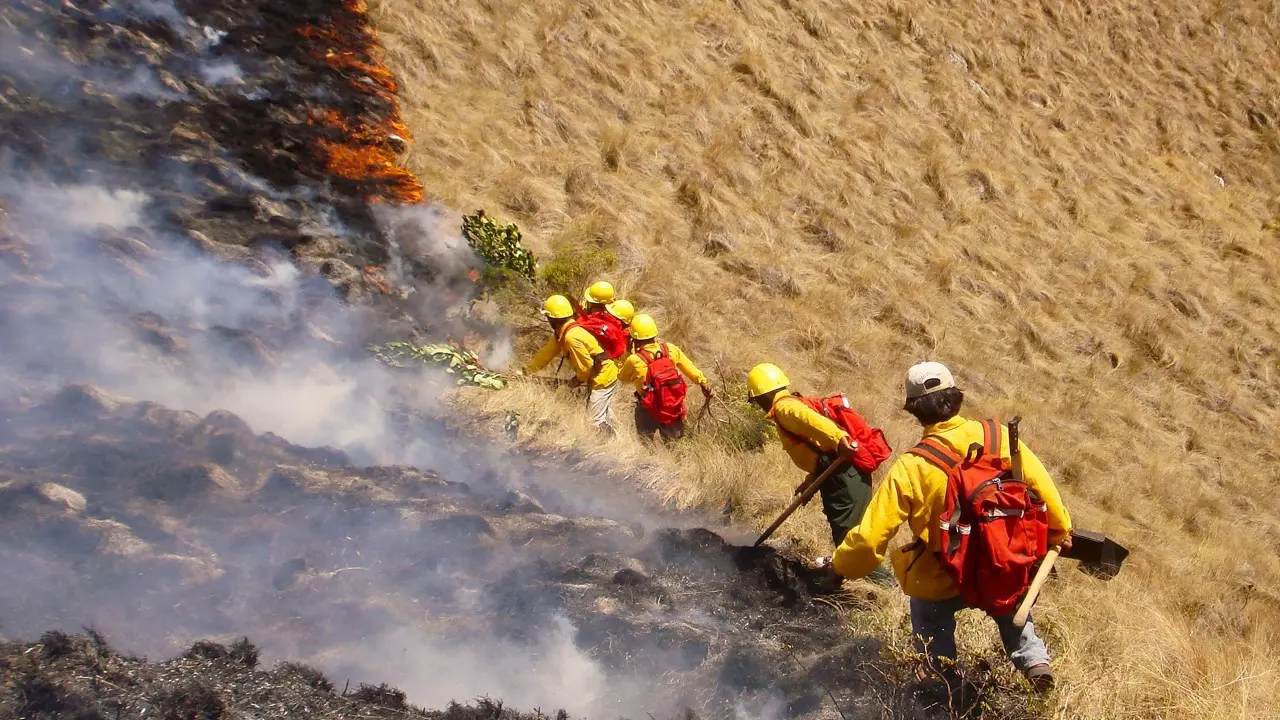 Bomberos forestales apagando un incendio en los alrededores del Sitio Arqueológico de Machu Picchu (foto: Sernanp).