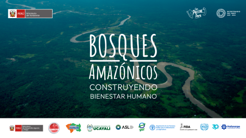  Inician proyecto para recuperar más de 5 millones de hectáreas de bosques degradados