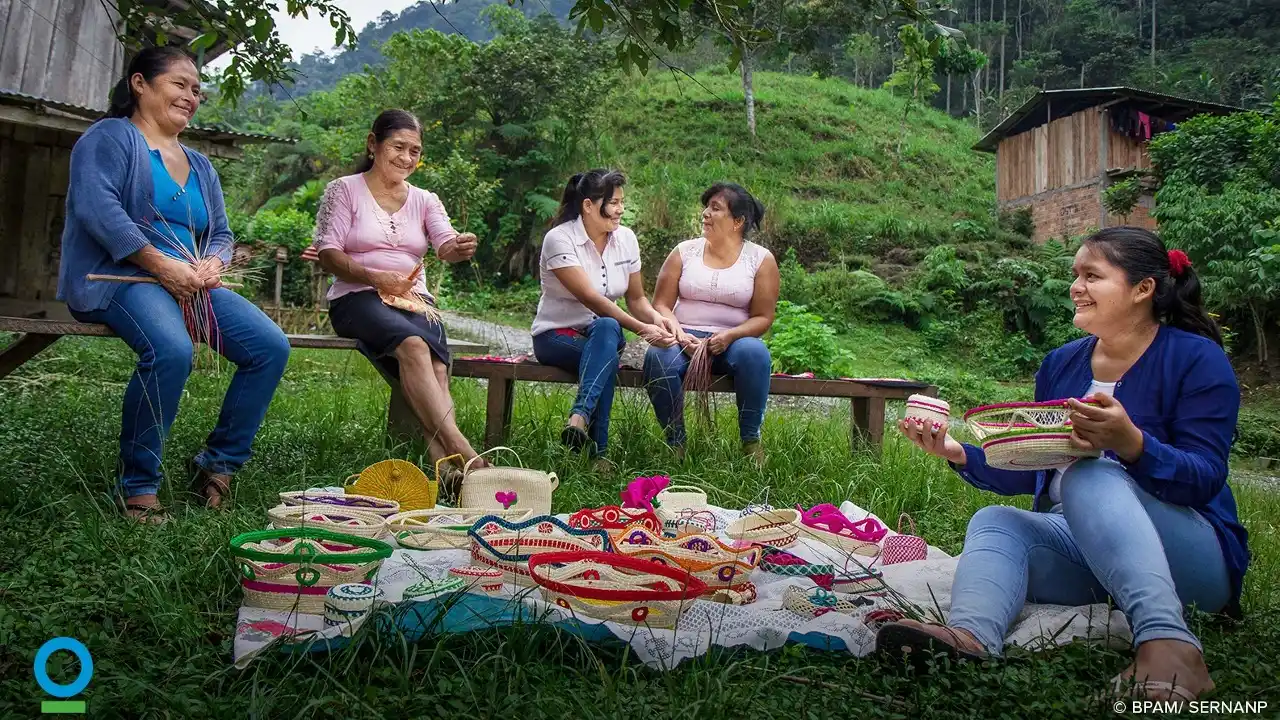 Socios de la Asociación de Mujeres Emprendedoras y Defensoras del Bosque (foto: BPAM/Sernanp).