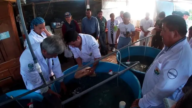 Ucayali: Realizan capacitación dirigida a piscicultores