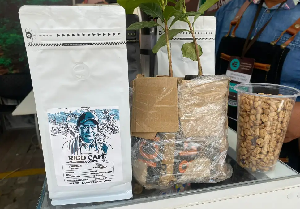 Caficultor del Perené solicita más apoyo del Estado para el sector