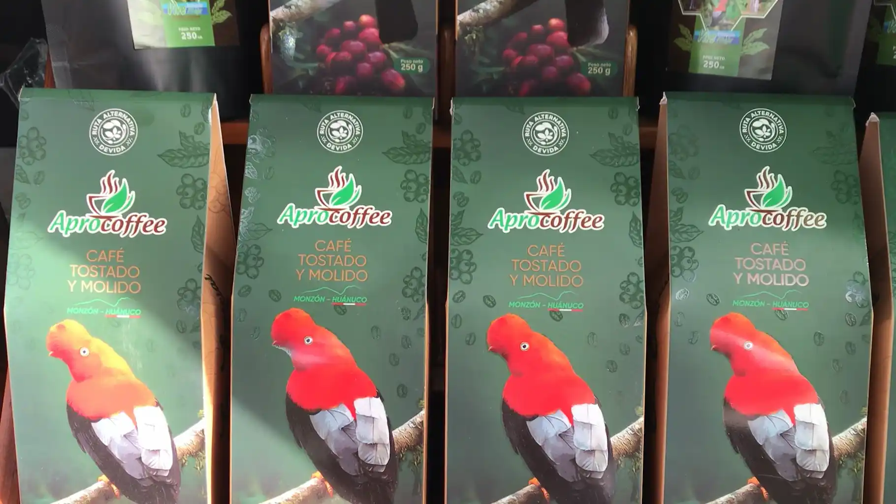 “Para el 2024 queremos sobrepasar los dos millones de kilos comercializados”