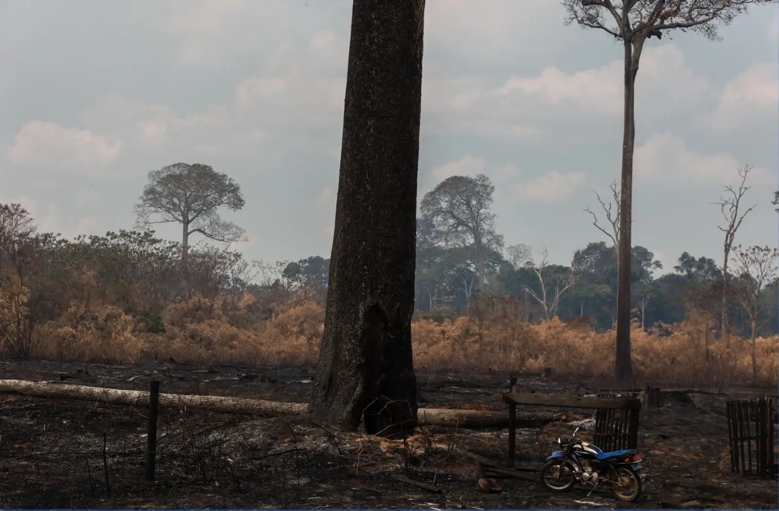 Descartan carretera que amenazaba territorios indígenas del Manu