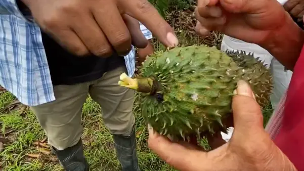 En los talleres, los beneficiarios intercambiaron sus experiencias en (foto: Municipalidad de Pangoa).