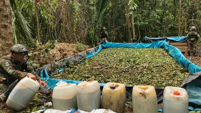 El cultivo ilegal de coca genera deforestación, ya que la siembra de la implica la destrucción de bosques (foto: Corah).