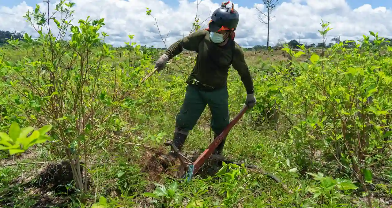 Reportan logros en la lucha contra el terrorismo, narcotráfico y criminalidad