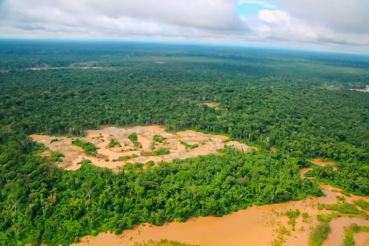 Se recuperaron 641 hectáreas degradadas en la Reserva Nacional de Tambopata (foto: El Peruano).