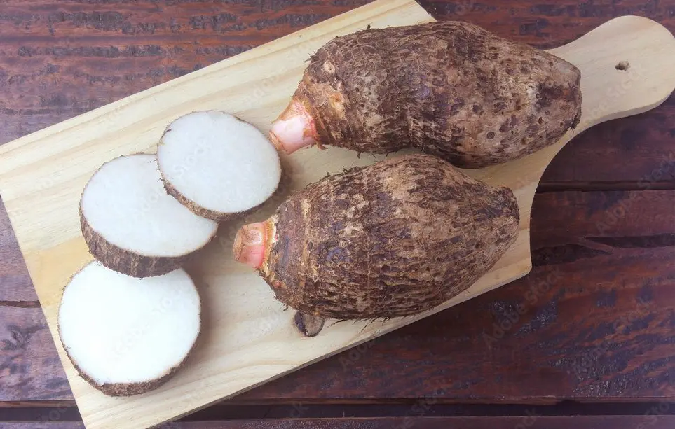 Pituca: Un tubérculo beneficioso para nuestra salud 