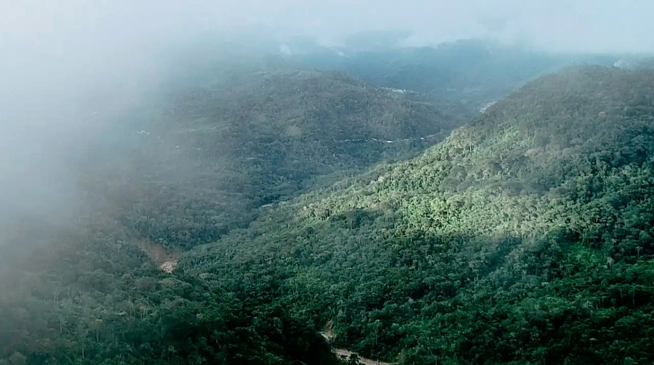 Israel Antonio: “Junto a mi familia cultivamos el amor por el café”